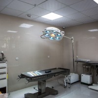 1570555946_WhatsApp Image 2018-08-06 at 1.44.32 PM (1).jpeg